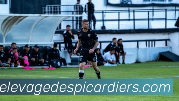 企业概况